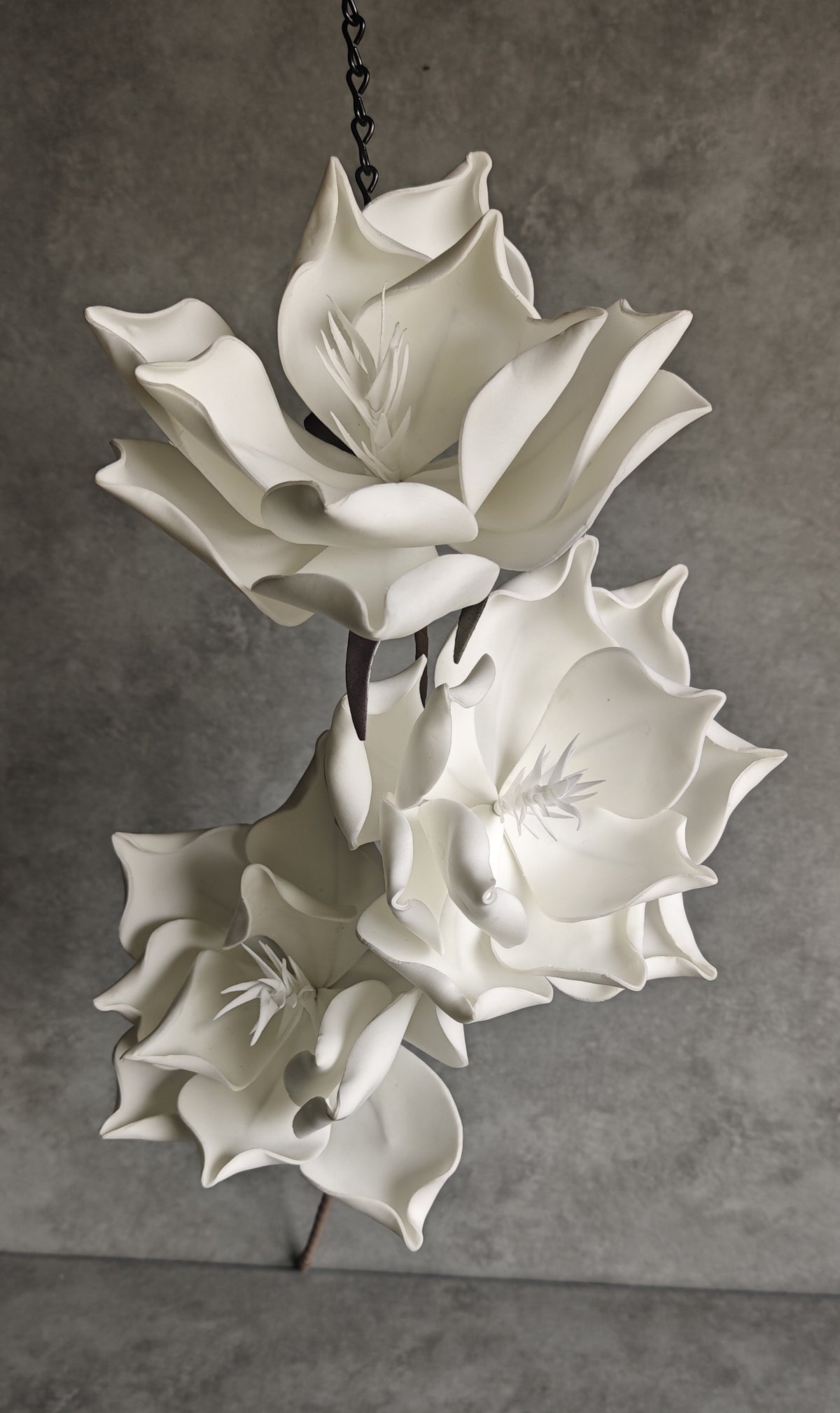 Balts magnolijas ziedu zars – modelis 01